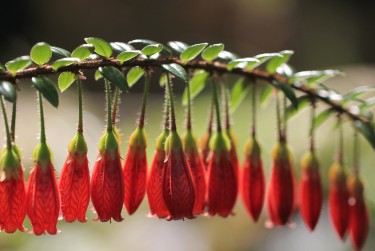 中山黄圃5私人快速借钱网，轻松解决资金难题