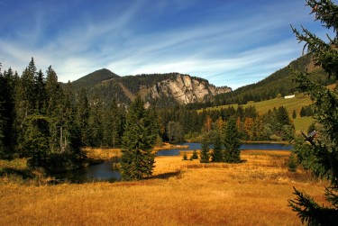 中山黄圃5民间私贷攻略：揭秘低成本借贷的秘密