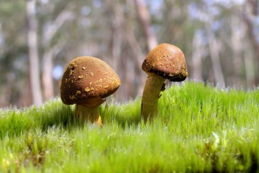 中山黄圃5私人老板放款：轻松融资的秘密通道